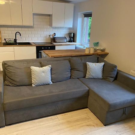 Apartament W Malowniczej Sosnowce Sosnówka エクステリア 写真