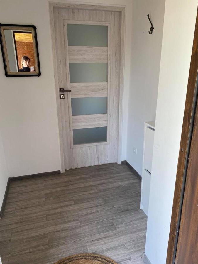 Apartament W Malowniczej Sosnowce Sosnówka エクステリア 写真