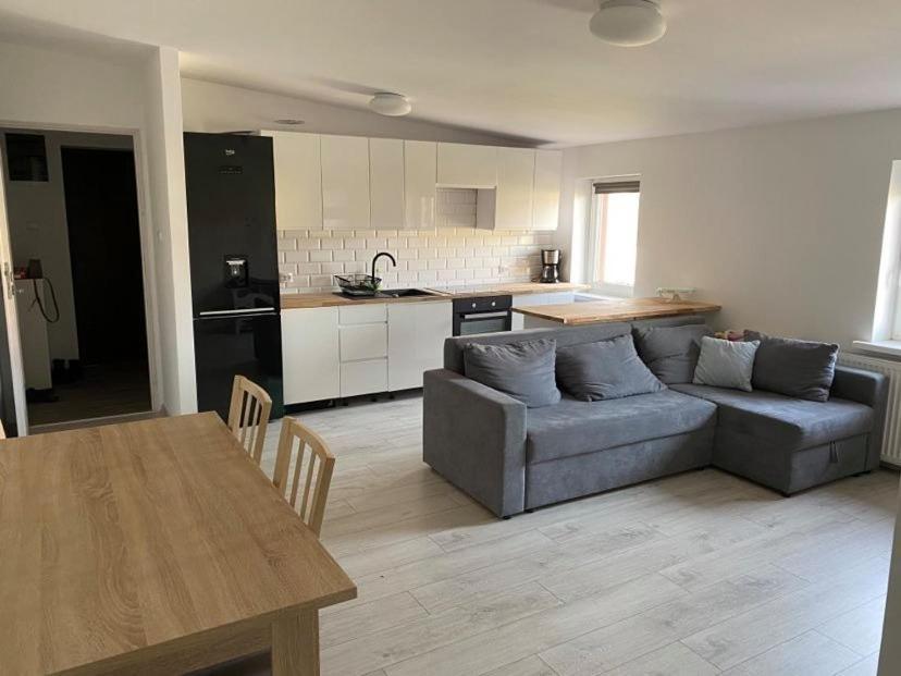 Apartament W Malowniczej Sosnowce Sosnówka エクステリア 写真