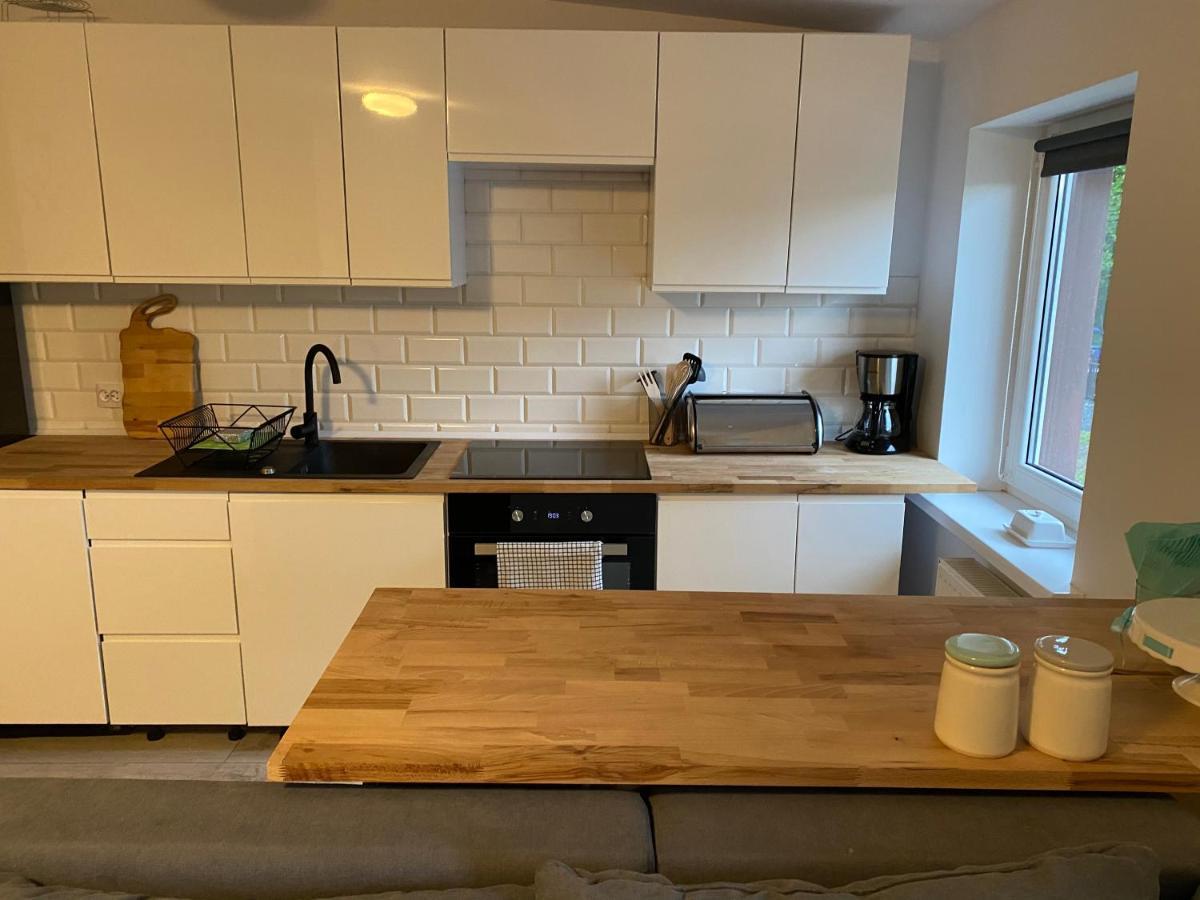 Apartament W Malowniczej Sosnowce Sosnówka エクステリア 写真
